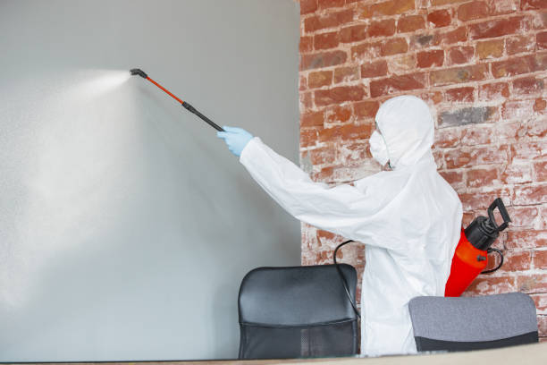 Best Residential Mold Inspection & Testing  in Hurley, NM