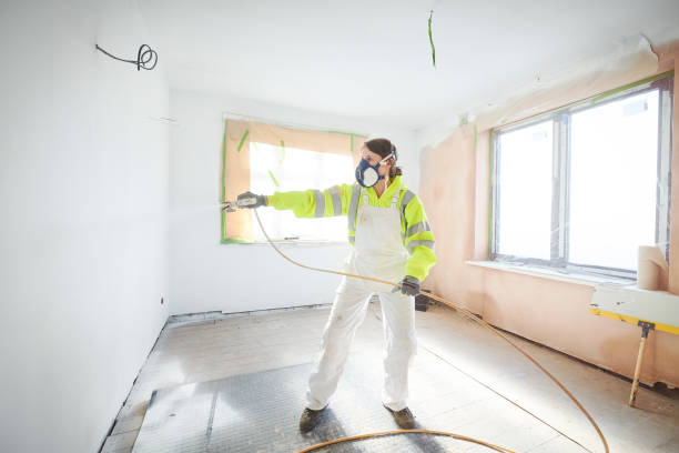 Best Commercial Mold Inspection  in Hurley, NM