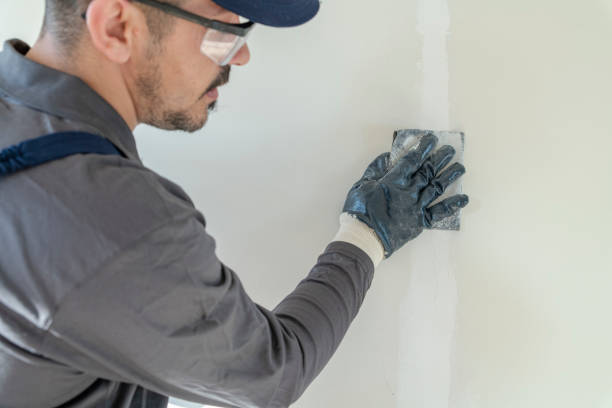 Best Basement Mold Removal  in Hurley, NM