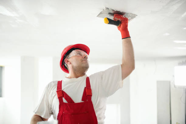 Best HVAC Mold Inspection and Cleaning  in Hurley, NM