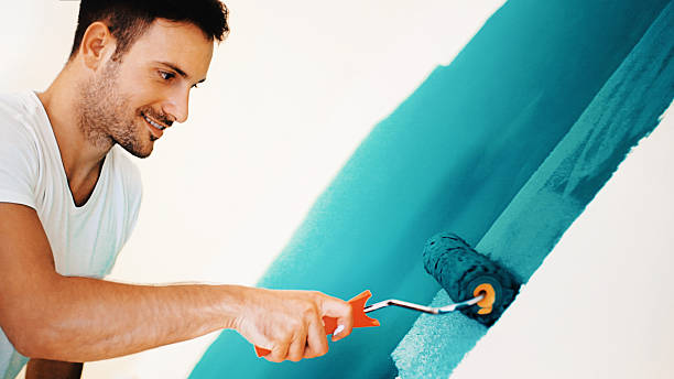 Professional Mold Removal in Hurley, NM
