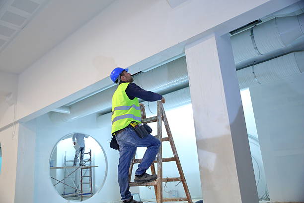 Best Mold Documentation for Insurance Claims  in Hurley, NM